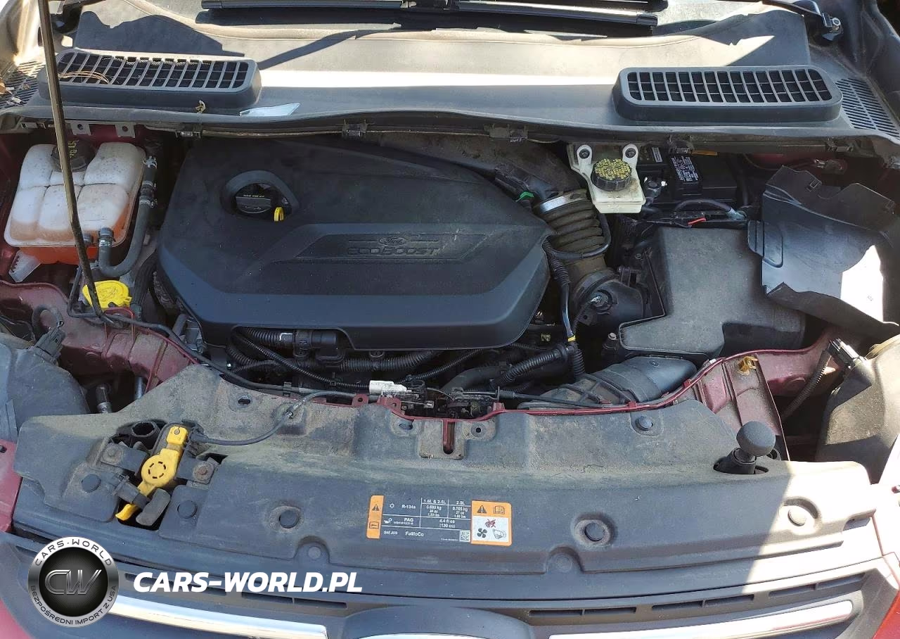 2014 Ford Escape Se VIN:1FMCU9GX1EUA10119 - 12