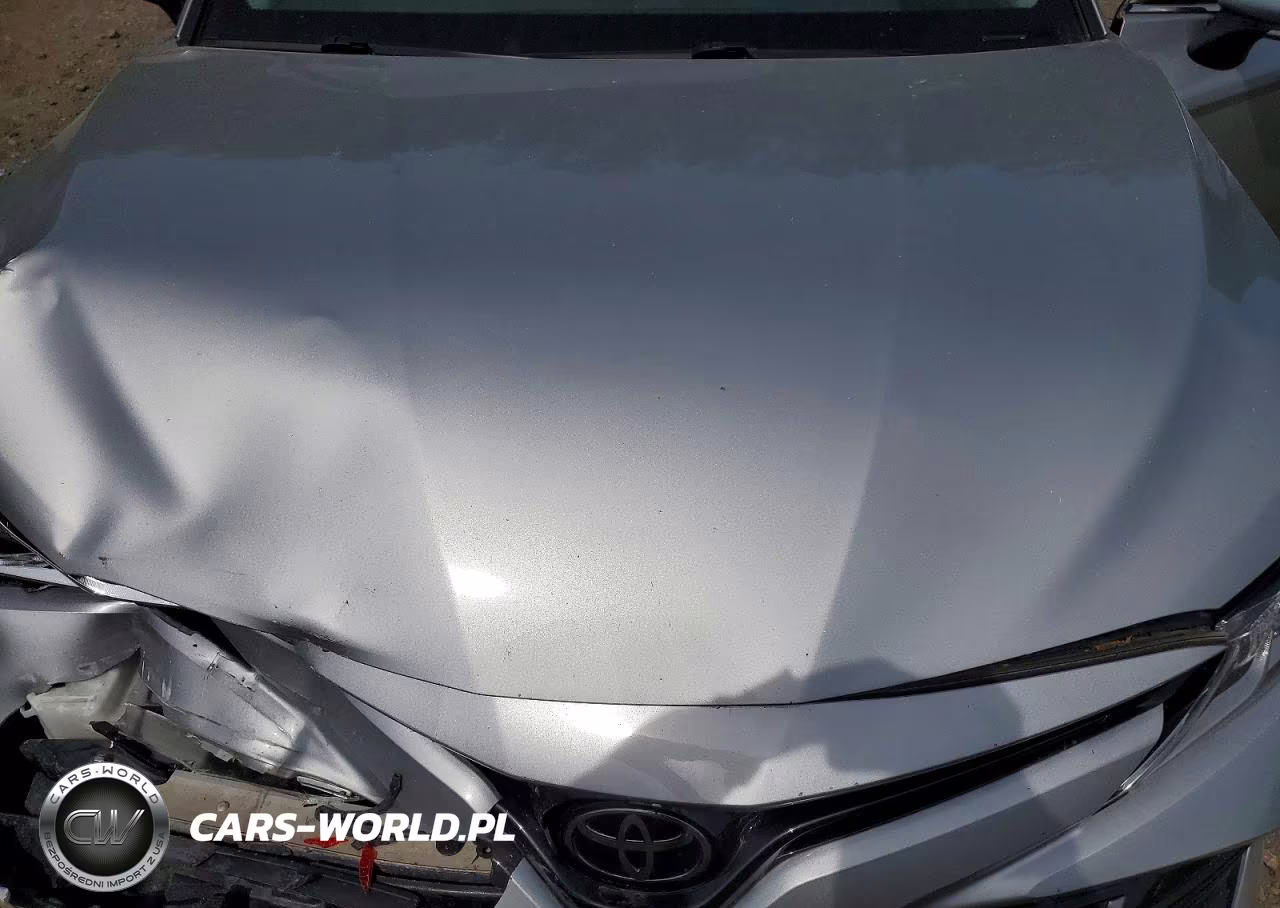 2020 Toyota Camry Le VIN:4T1L11BK1LU018370 - 11