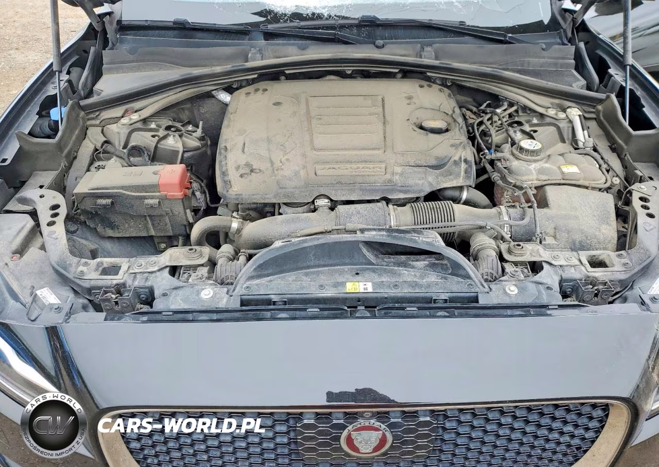 2019 Jaguar F-Pace Portfolio VIN:SADCN2GX0KA357662 - 12