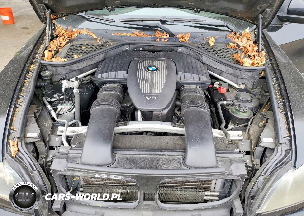 2010 BMW X5 xDrive48I VIN:5UXFE8C51AL311291 - 11