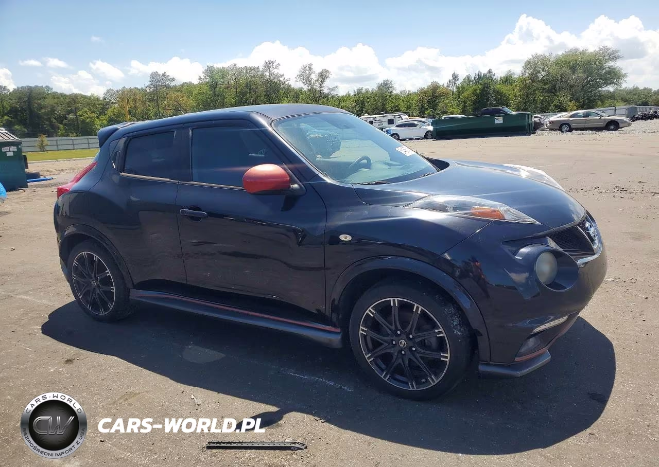 2014 Nissan Juke Nismo VIN:JN8AF5MV8ET363601 - 4