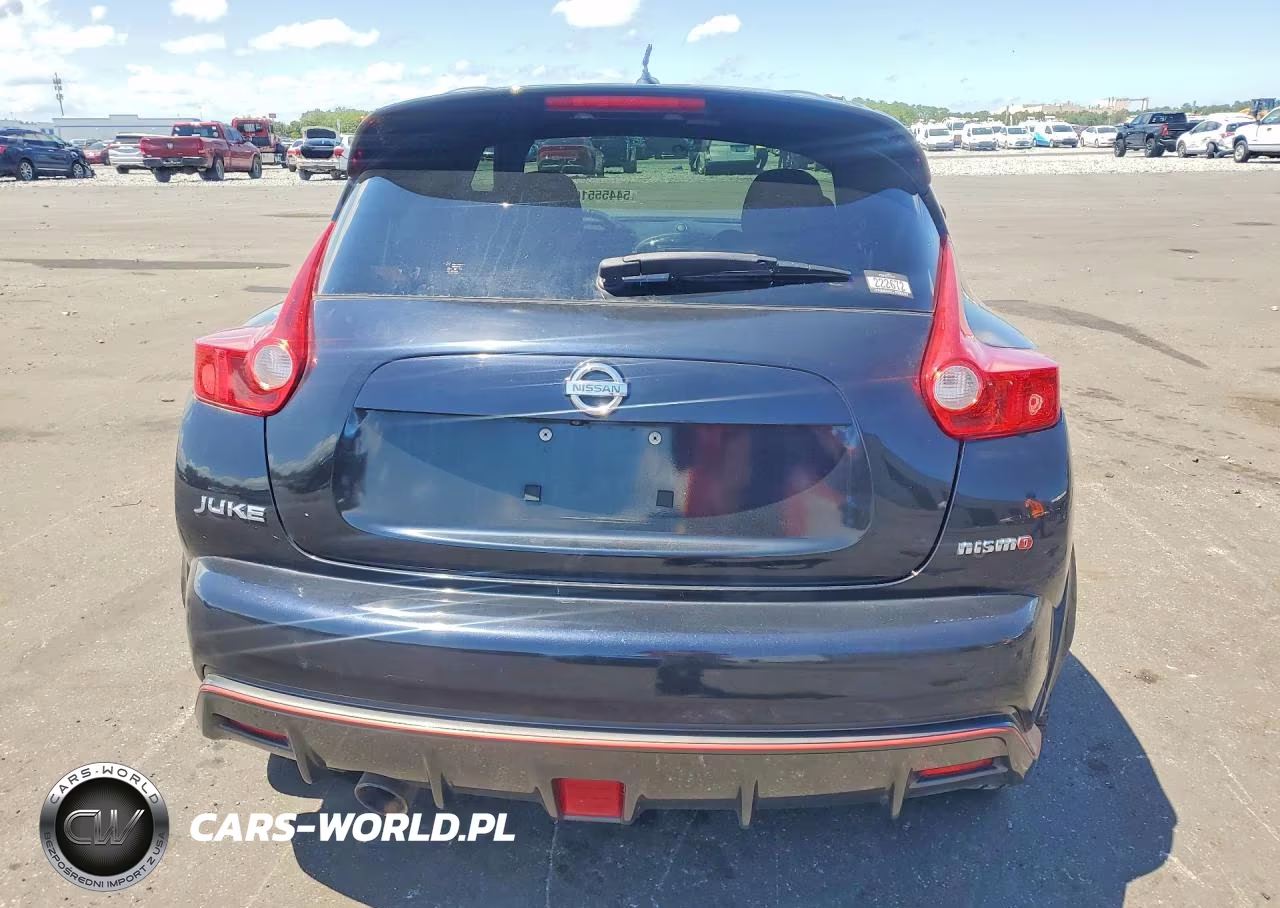 2014 Nissan Juke Nismo VIN:JN8AF5MV8ET363601 - 6