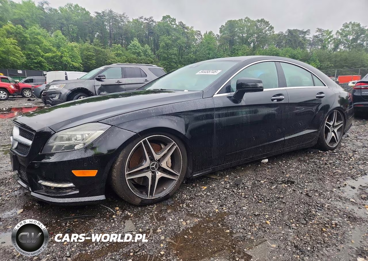 2013 Merz Cls