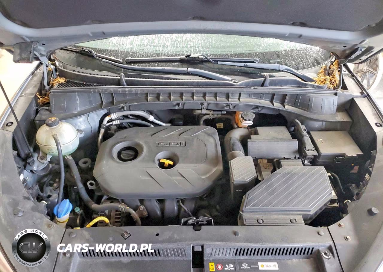 2017 Hyundai Tucson Se VIN:KM8J33A44HU296218 - 12