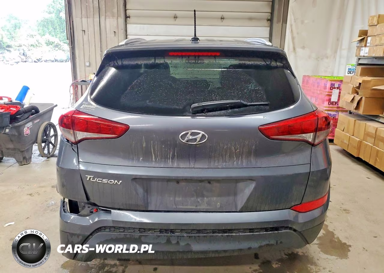2017 Hyundai Tucson Se VIN:KM8J33A44HU296218 - 6