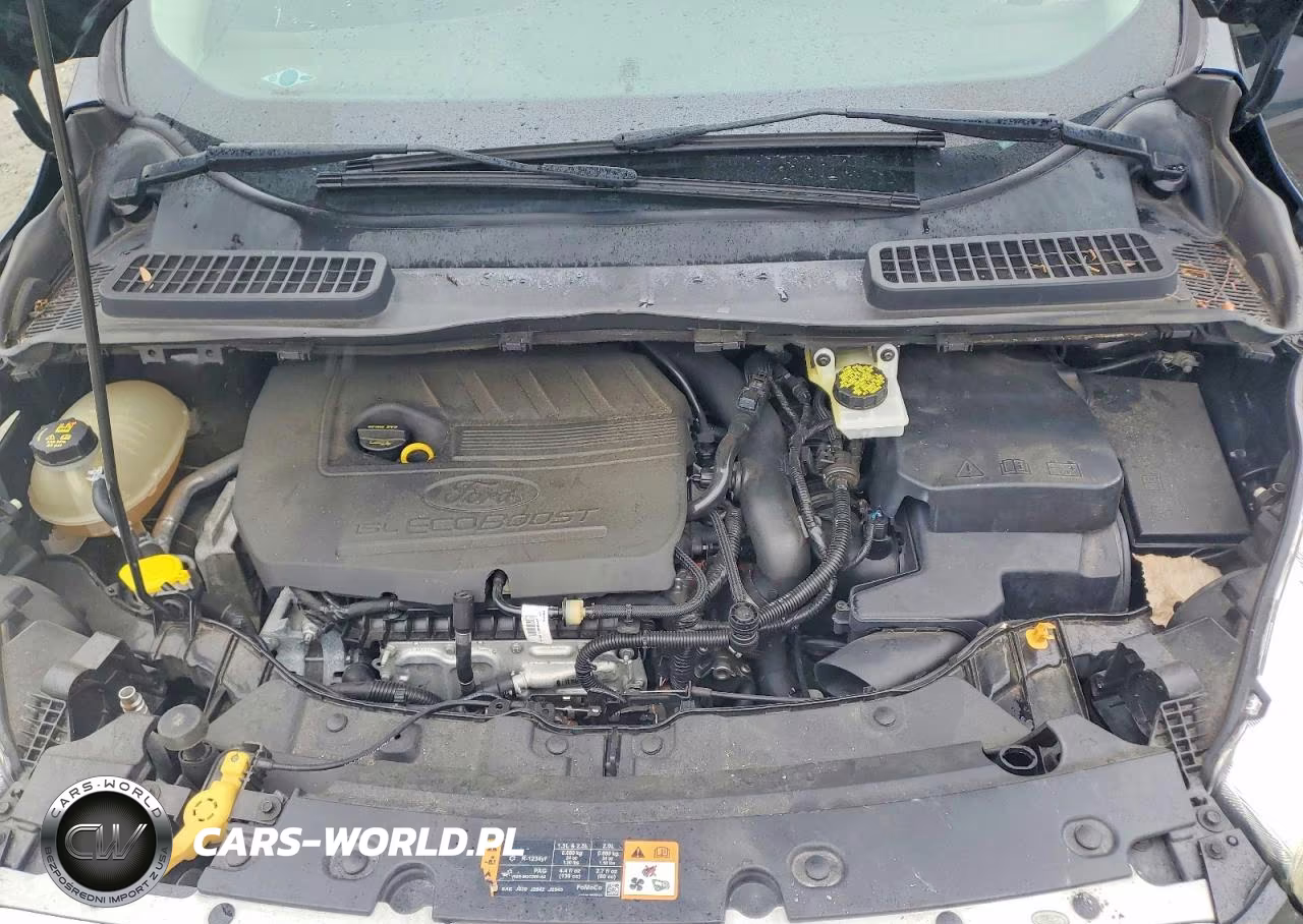 2017 Ford Escape Se VIN:1FMCU0GD6HUB96407 - 12