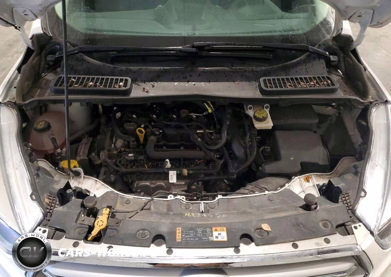 2019 Ford Escape Se VIN:1FMCU9GD9KUB06498 - 12