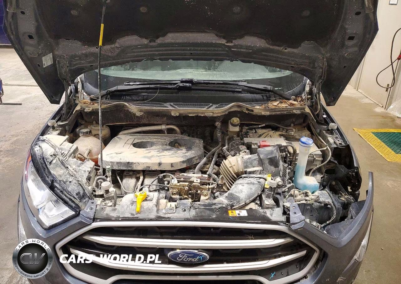 2022 Ford Ecosport Se VIN:MAJ6S3GL6NC465402 - 12