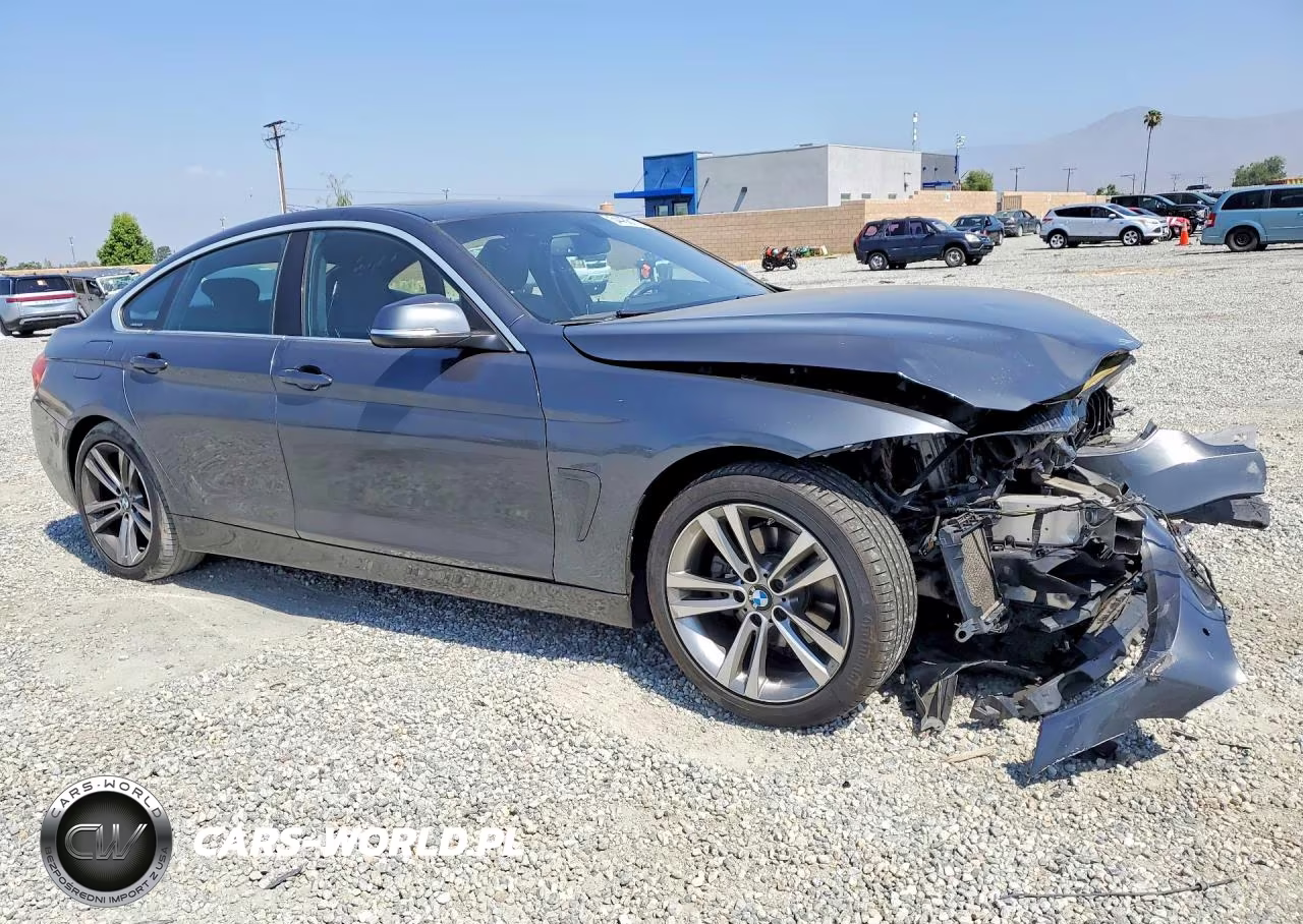 2016 BMW 428 I Gran Coupe Sulev VIN:WBA4A9C56GG507915 - 4