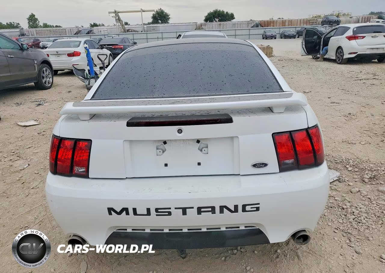 2001 Ford Mustang Gt VIN:1FAFP42X11F204933 - 6
