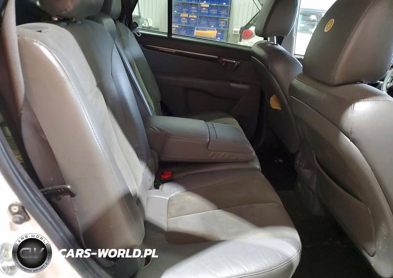 2010 Hyundai Santa Fe Se VIN:5NMSH4AG0AH373917 - 11