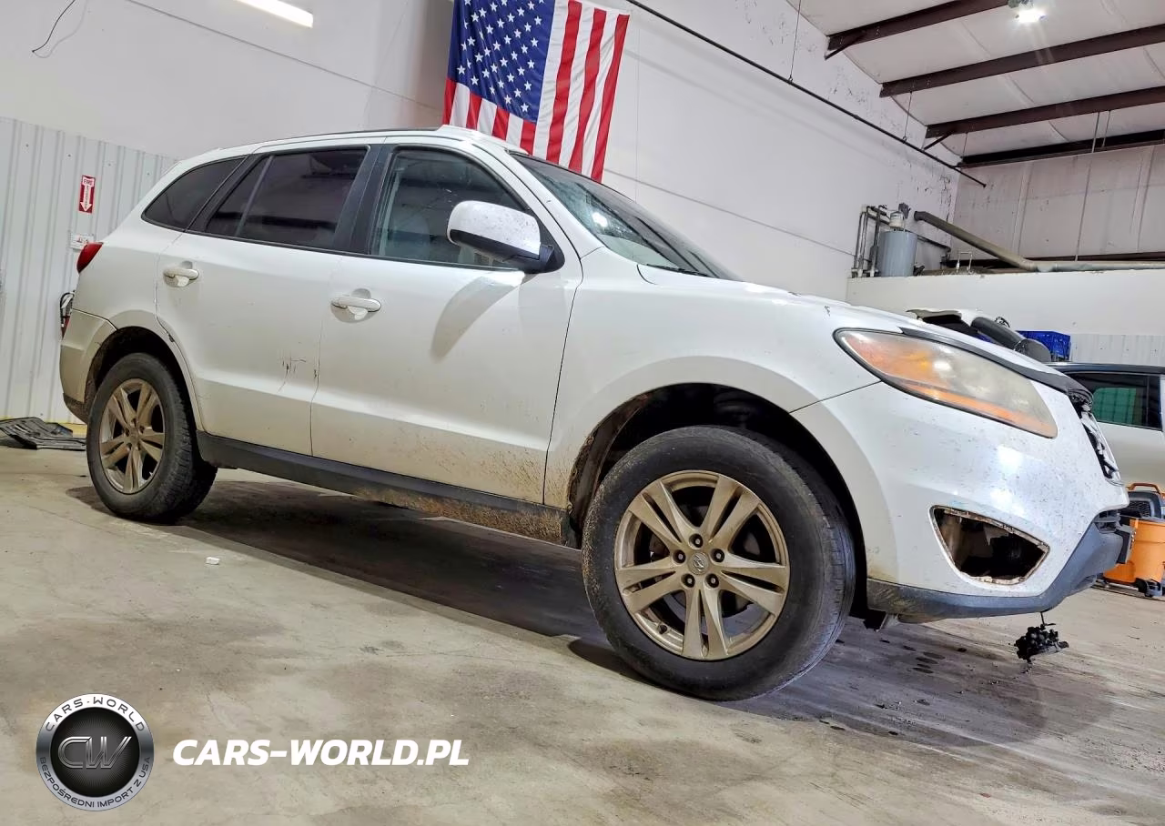 2010 Hyundai Santa Fe Se VIN:5NMSH4AG0AH373917 - 4