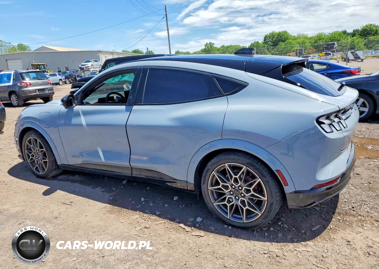 2025 Ford Mustang Mach-E Gt VIN:3FMTK4SX1SMA09892 - 2
