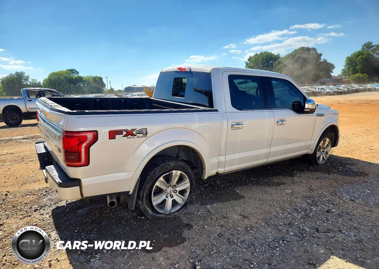 2015 Ford F150 Supercrew VIN:1FTEW1EF3FFA77670 - 3