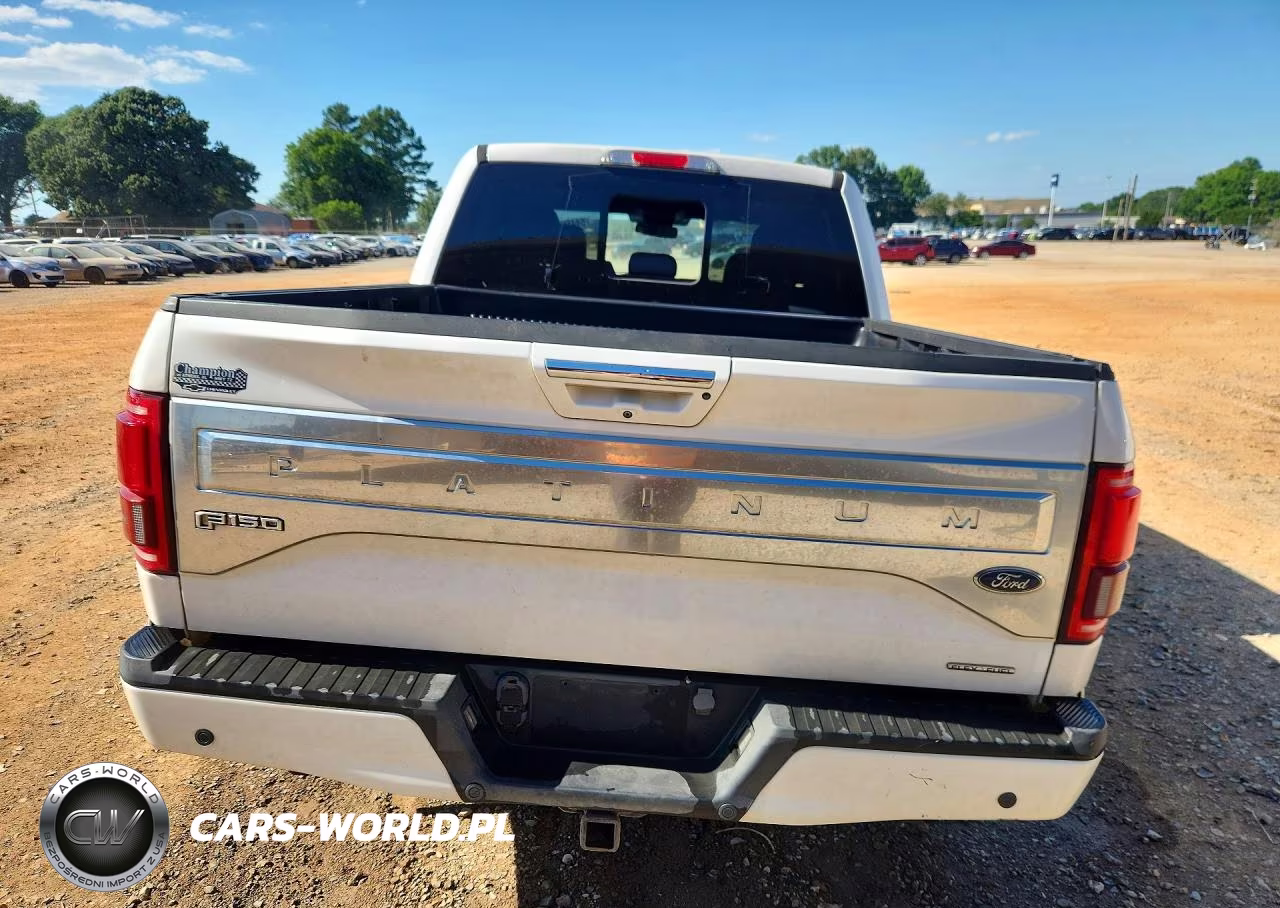 2015 Ford F150 Supercrew VIN:1FTEW1EF3FFA77670 - 6