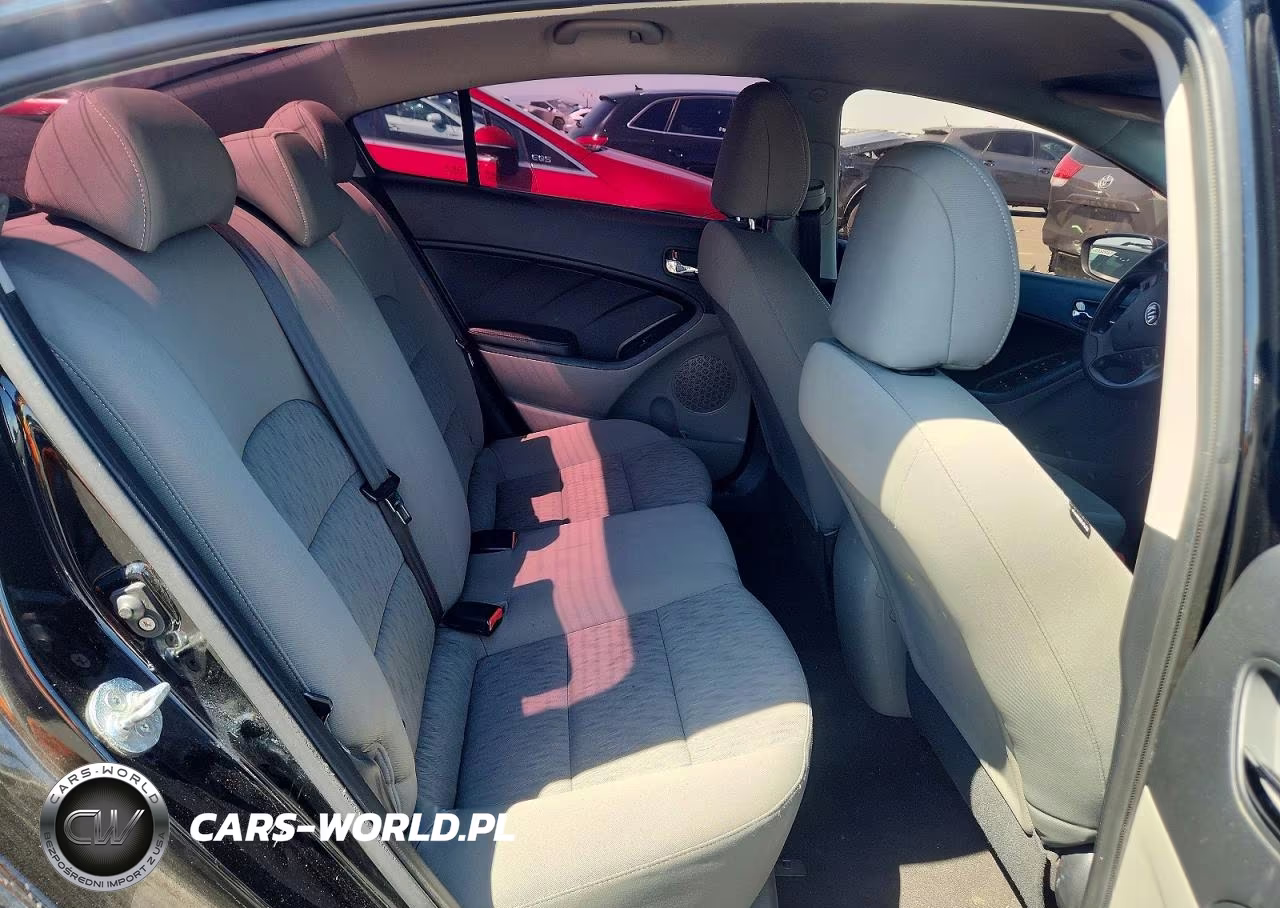 2015 Kia Forte Lx VIN:KNAFK4A6XF5410277 - 10