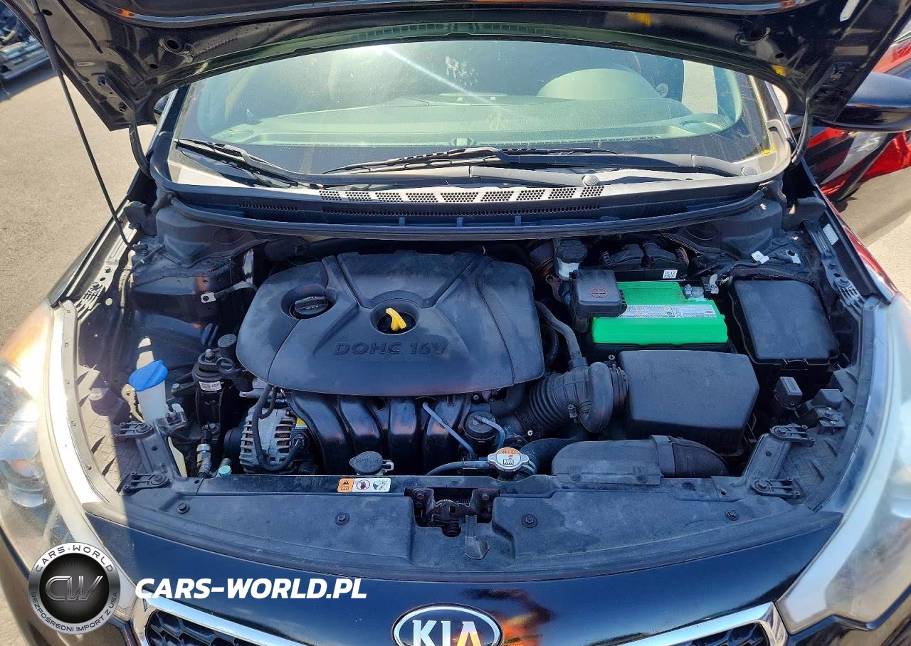 2015 Kia Forte Lx VIN:KNAFK4A6XF5410277 - 11