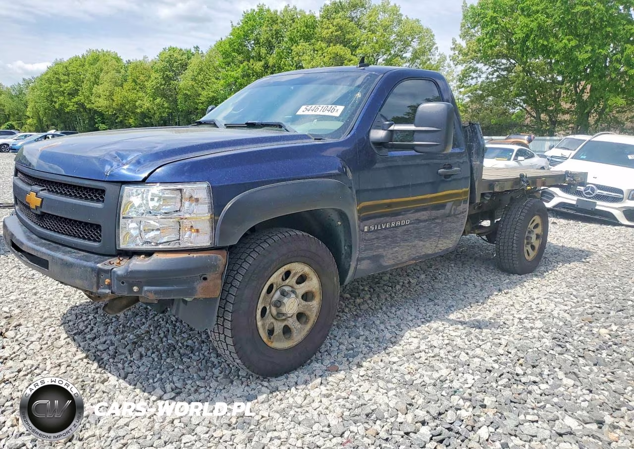 2009 Chevrolet Silverado C1500