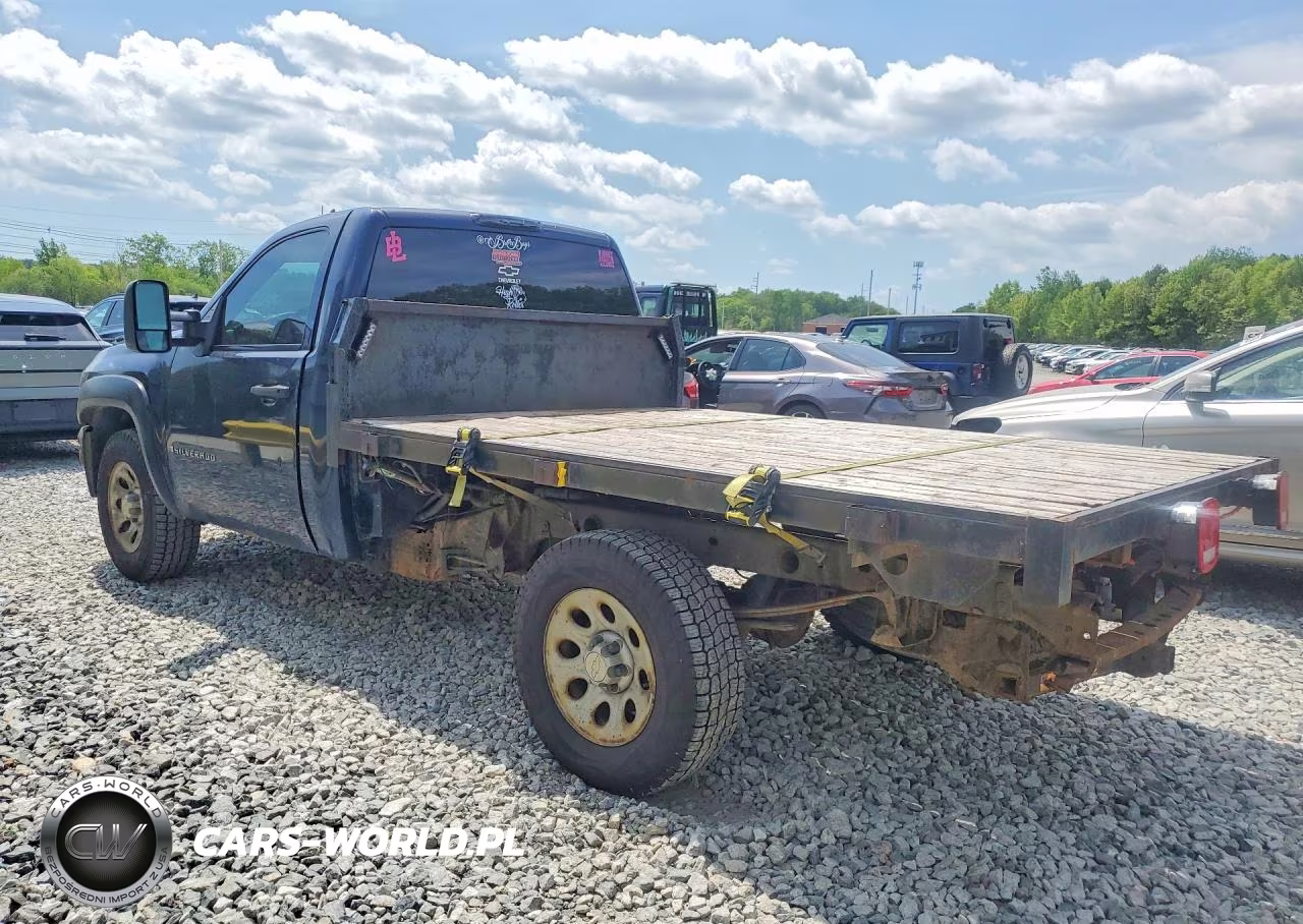 2009 Chevrolet Silverado C1500 VIN:1GCEC14X09Z234965 - 2
