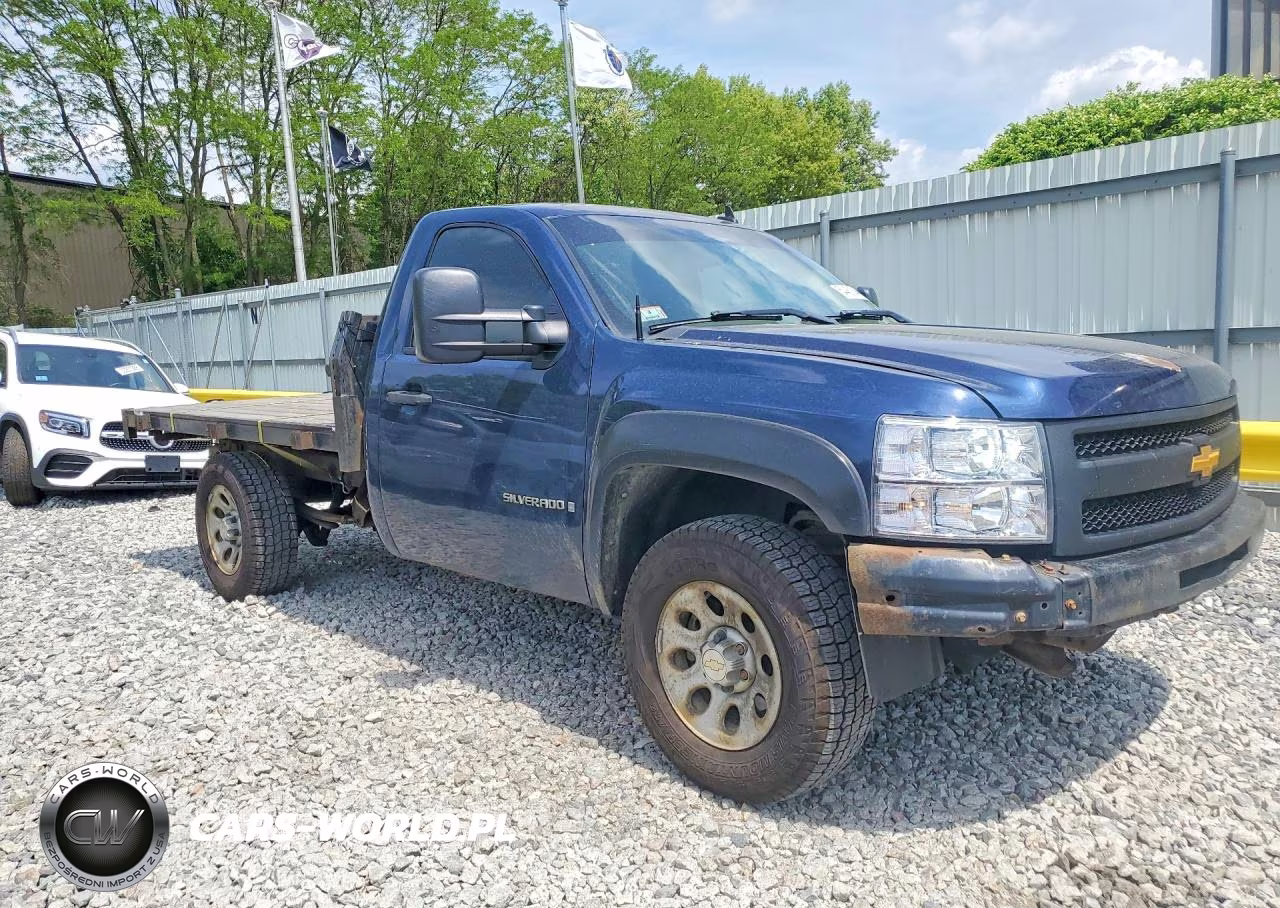 2009 Chevrolet Silverado C1500 VIN:1GCEC14X09Z234965 - 4