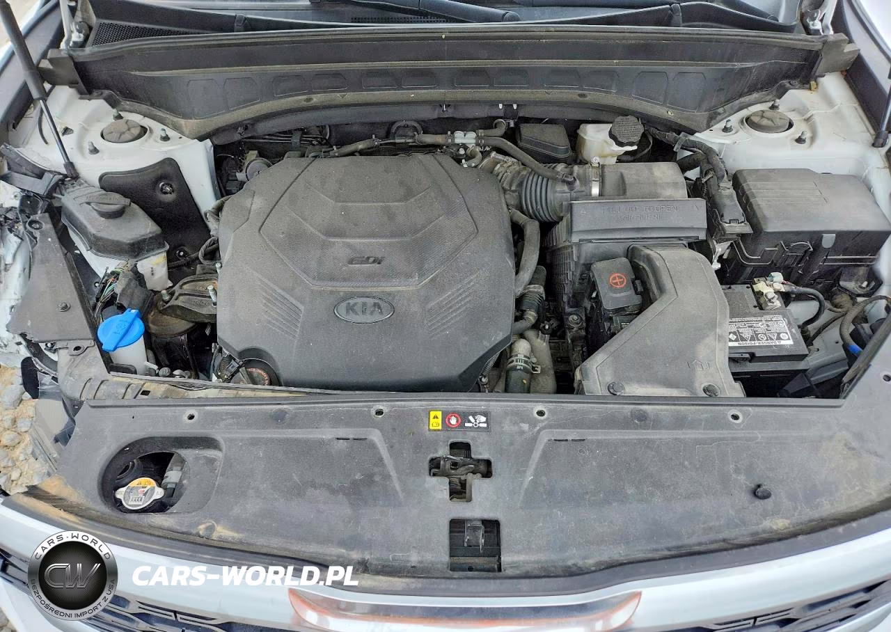 2021 Kia Telluride S VIN:5XYP64HC4MG140345 - 12