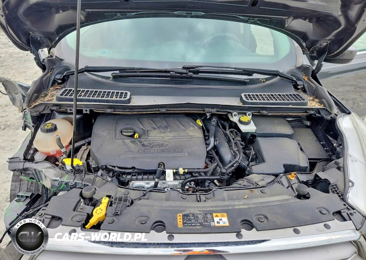 2018 Ford Escape Se VIN:1FMCU0GD9JUA25480 - 11