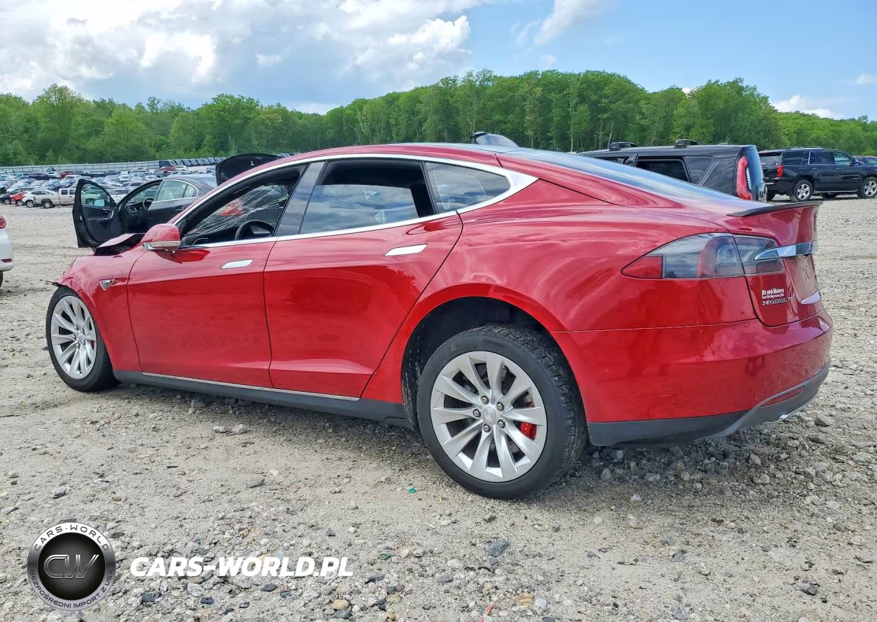 2015 Tesla Model S 85D VIN:5YJSA1H29FFP73450 - 2