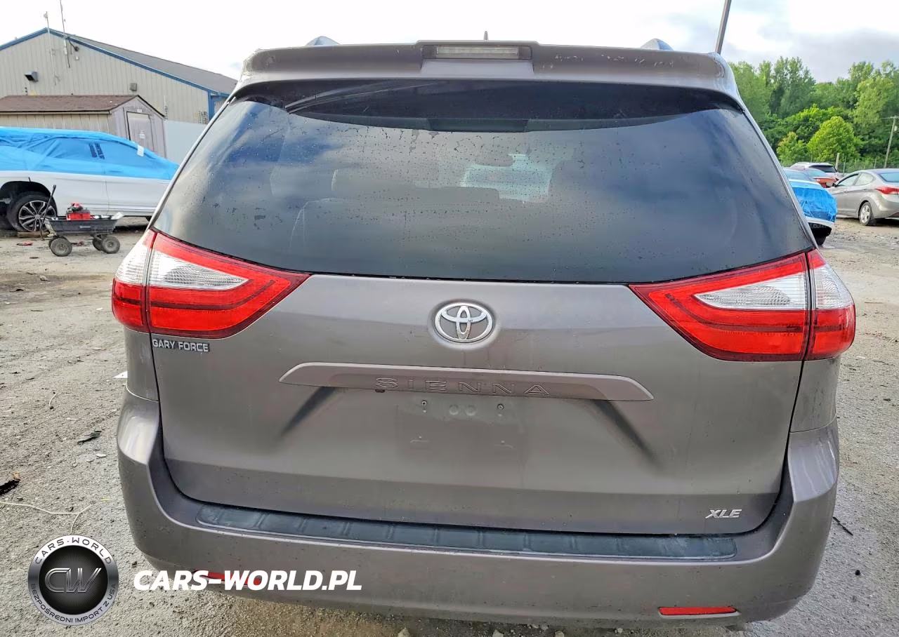 2018 Toyota Sienna Xle 8-Passenger VIN:5TDYZ3DC8JS910525 - 6