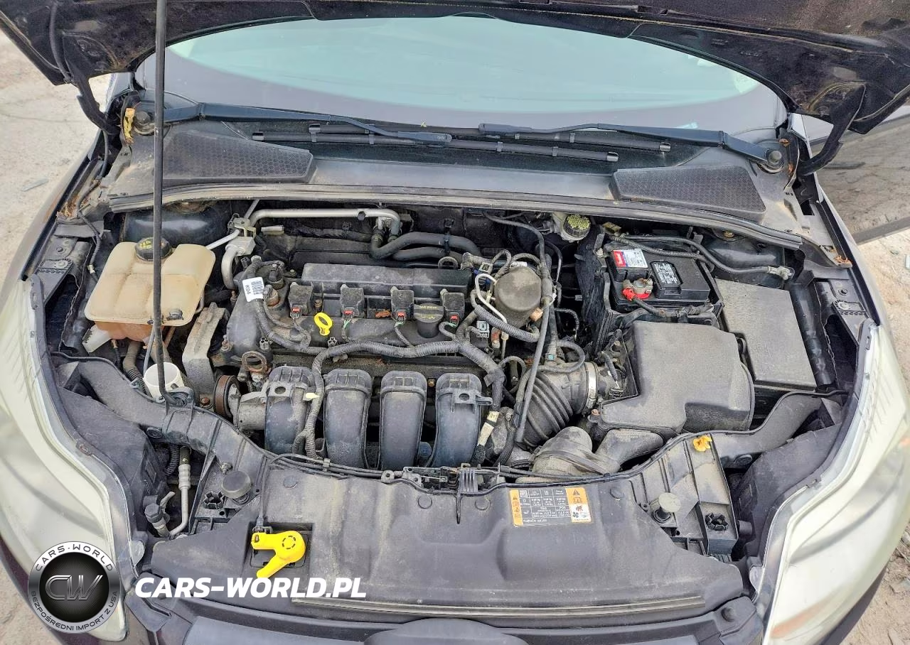 2014 Ford Focus Se VIN:1FADP3F2XEL335866 - 11