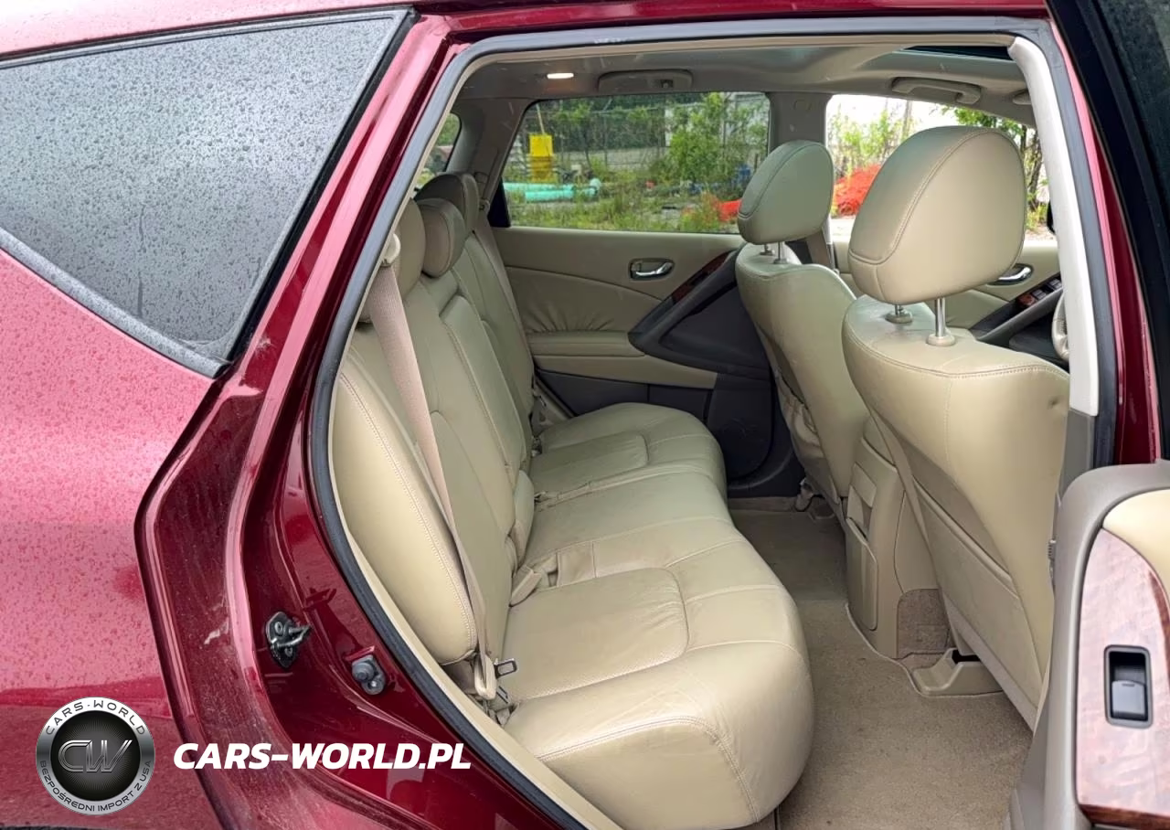 2010 Nissan Murano S VIN:JN8AZ1MW0AW104084 - 6