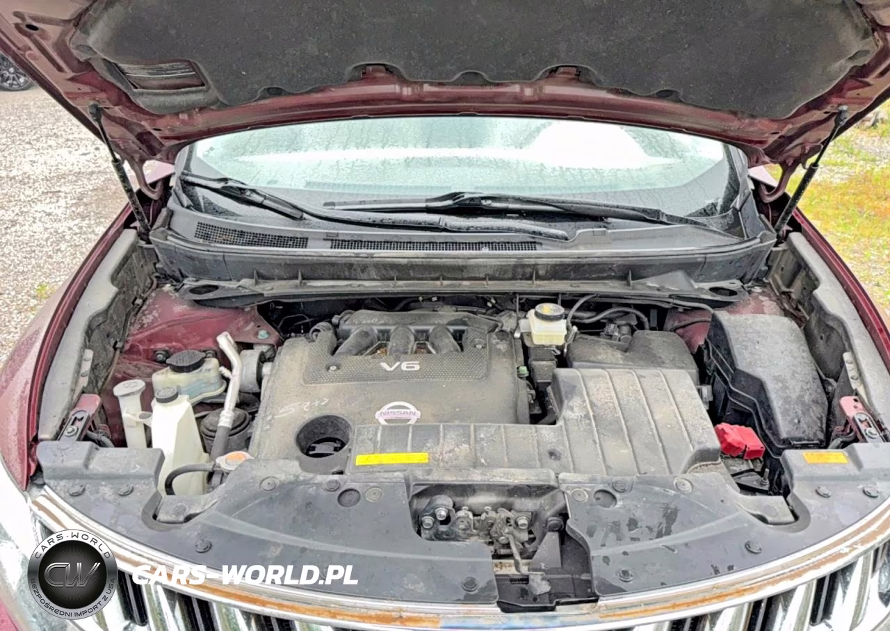 2010 Nissan Murano S VIN:JN8AZ1MW0AW104084 - 7