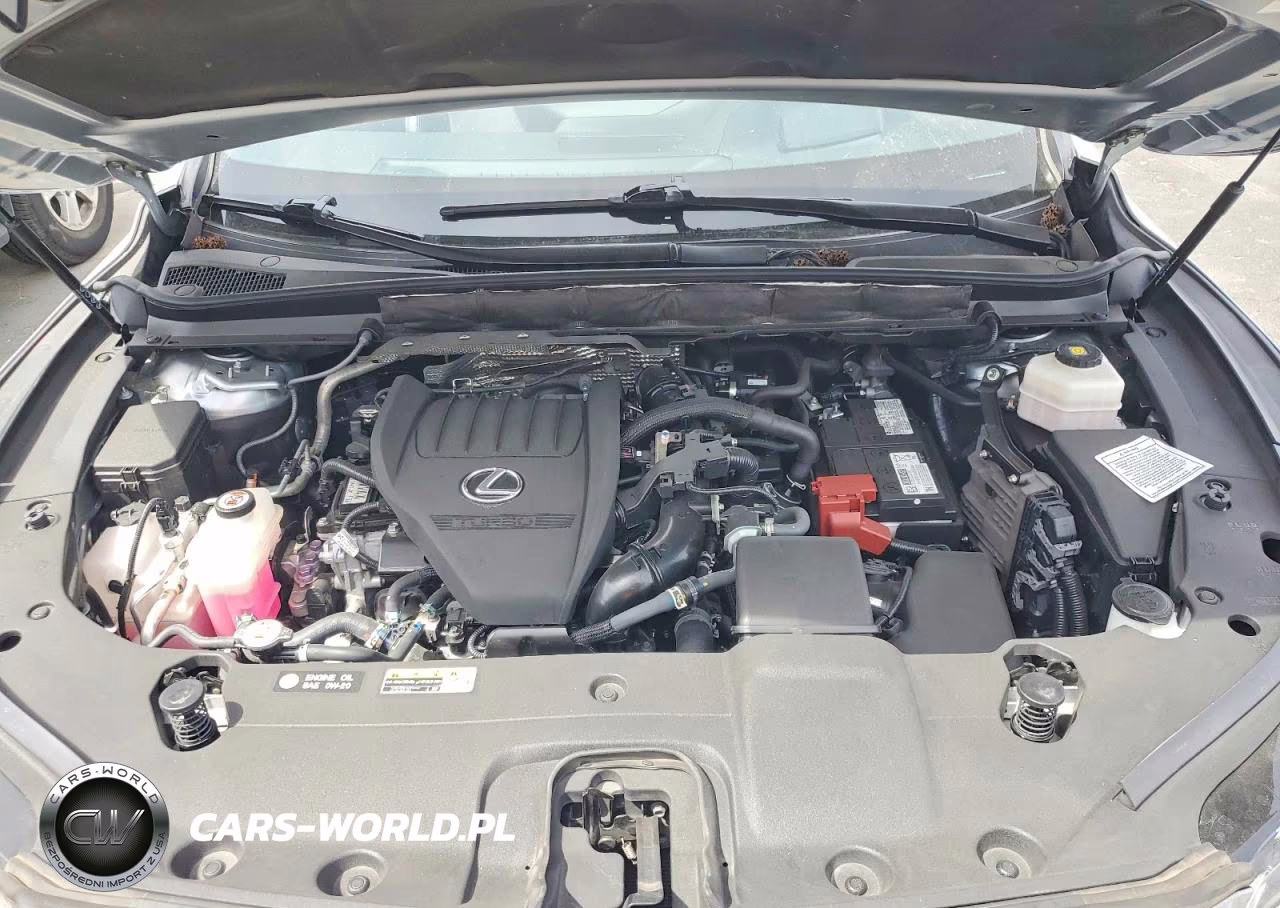 2023 Lexus Rx 350 Premium+ VIN:2T2BAMBA0PC001048 - 12
