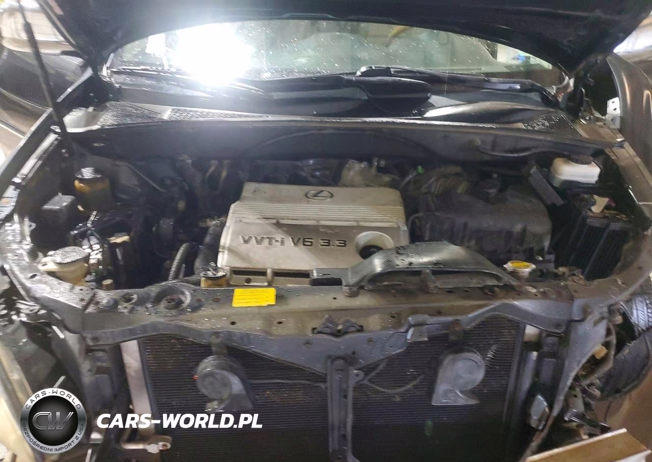 2005 Lexus Rx 330 VIN:2T2GA31U65C028926 - 12