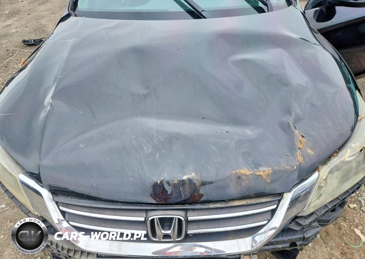 2014 Honda Accord Exl VIN:1HGCR2F89EA161820 - 11