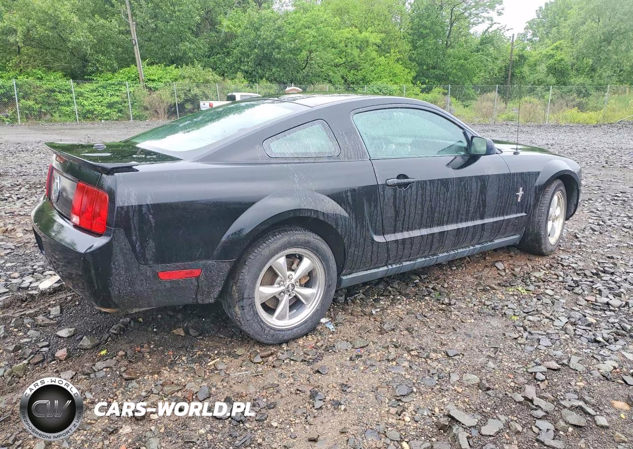 2007 Ford Mustang VIN:1ZVHT80N475369068 - 3