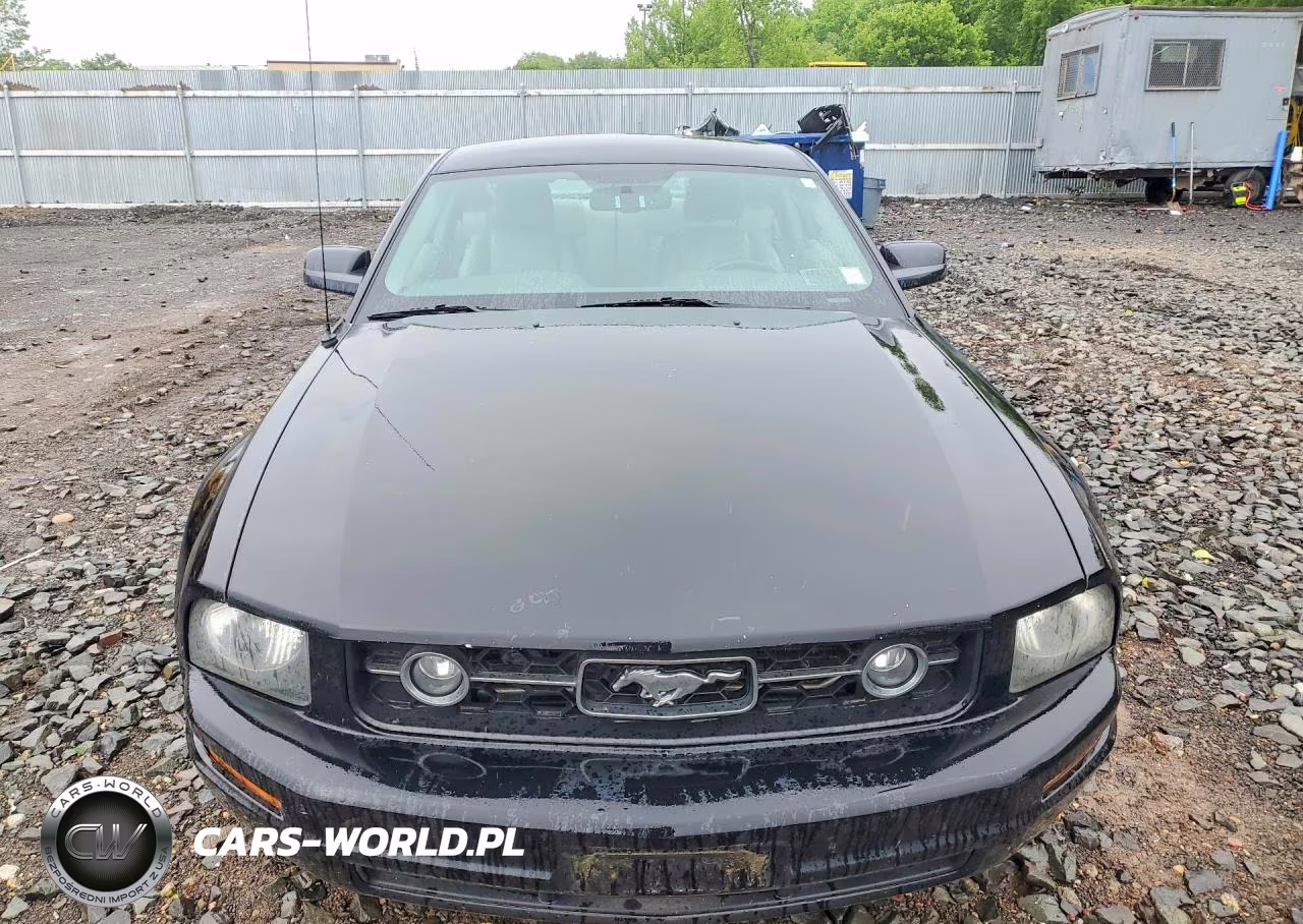 2007 Ford Mustang VIN:1ZVHT80N475369068 - 5
