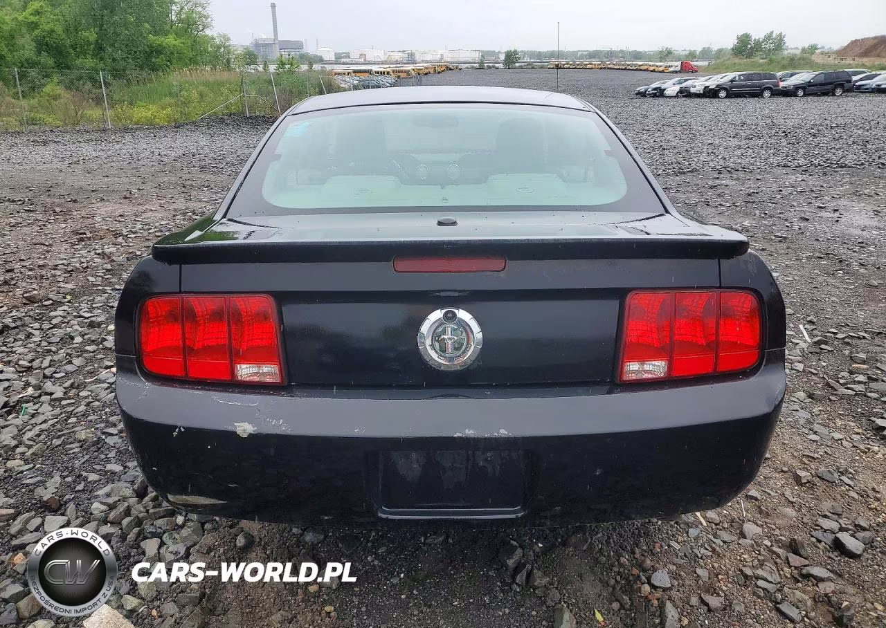 2007 Ford Mustang VIN:1ZVHT80N475369068 - 6