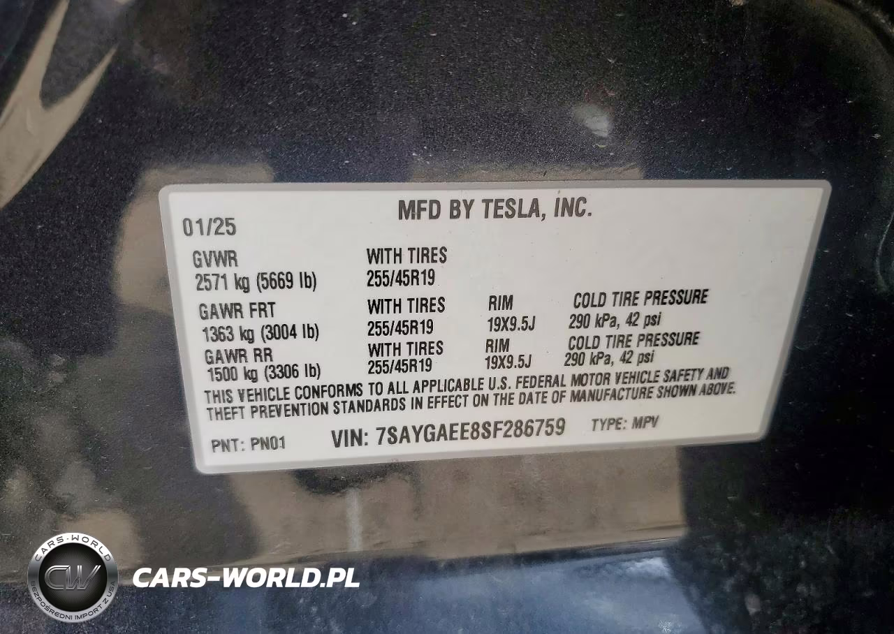 2025 Tesla Model Y VIN:7SAYGAEE8SF286759 - 12