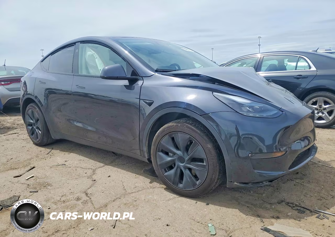 2025 Tesla Model Y VIN:7SAYGAEE8SF286759 - 4