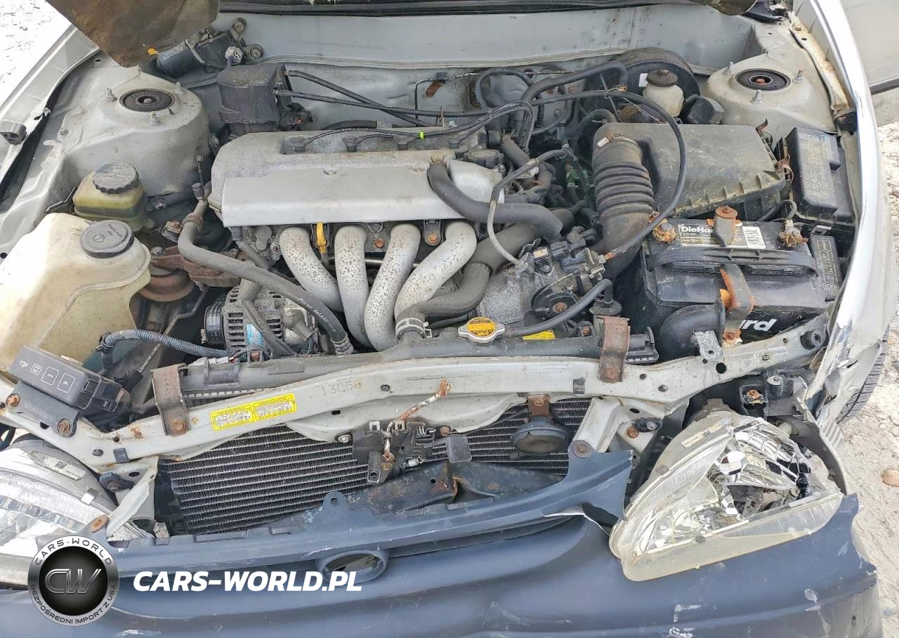 1999 Toyota Corolla Ve VIN:2T1BR12E2XC117527 - 11