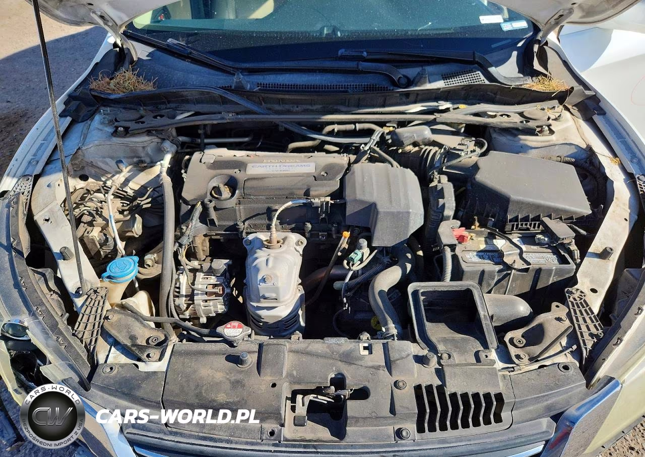 2013 Honda Accord Exl VIN:1HGCR2F81DA018729 - 11