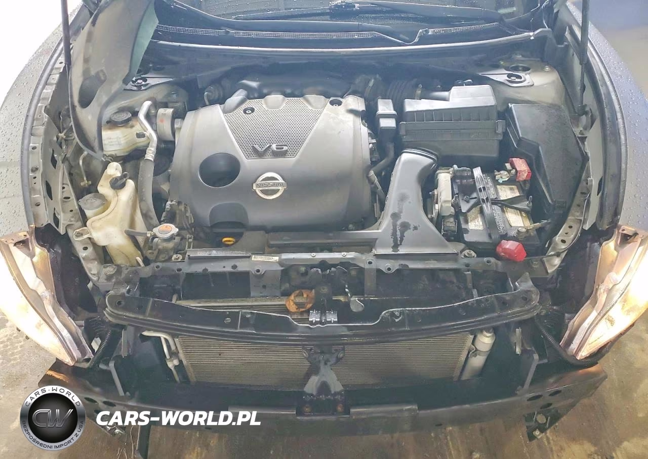 2009 Nissan Maxima 3.5 S VIN:1N4AA51E79C856907 - 11