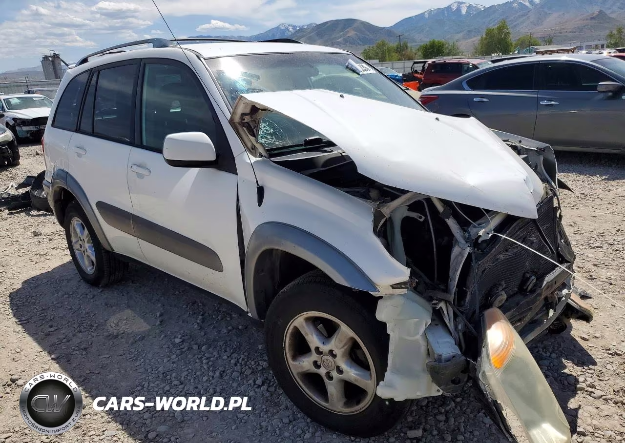 2001 Toyota Rav4 Base VIN:JTEHH20V316010213 - 4