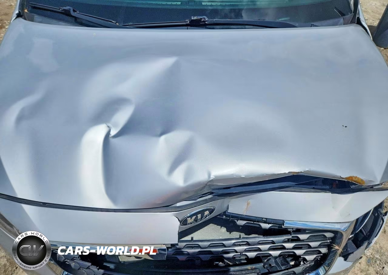 2021 Kia Sedona Lx VIN:KNDMB5C10M6674391 - 12