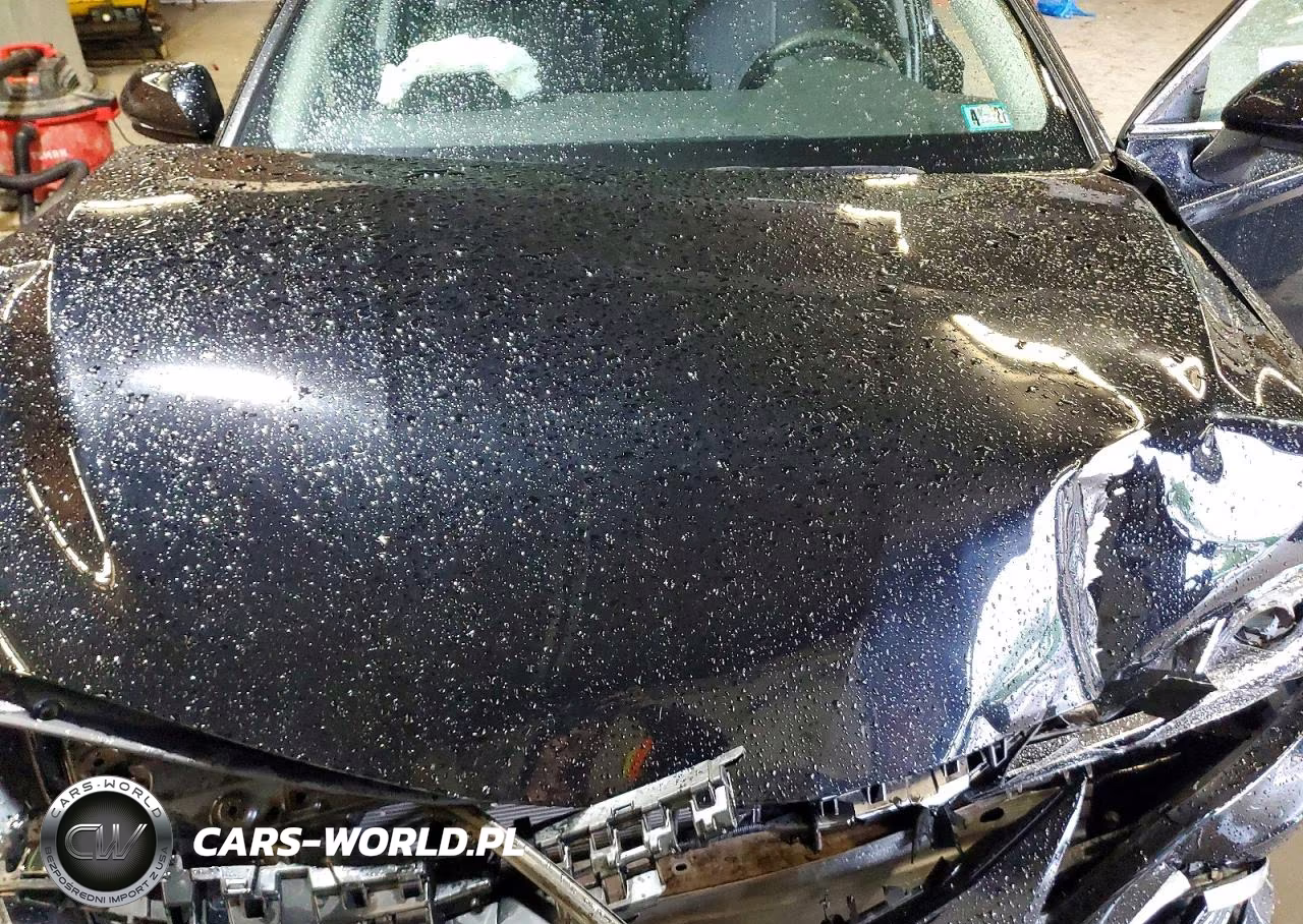 2021 Toyota Camry Le Hybrid VIN:4T1C31AK3MU559580 - 12