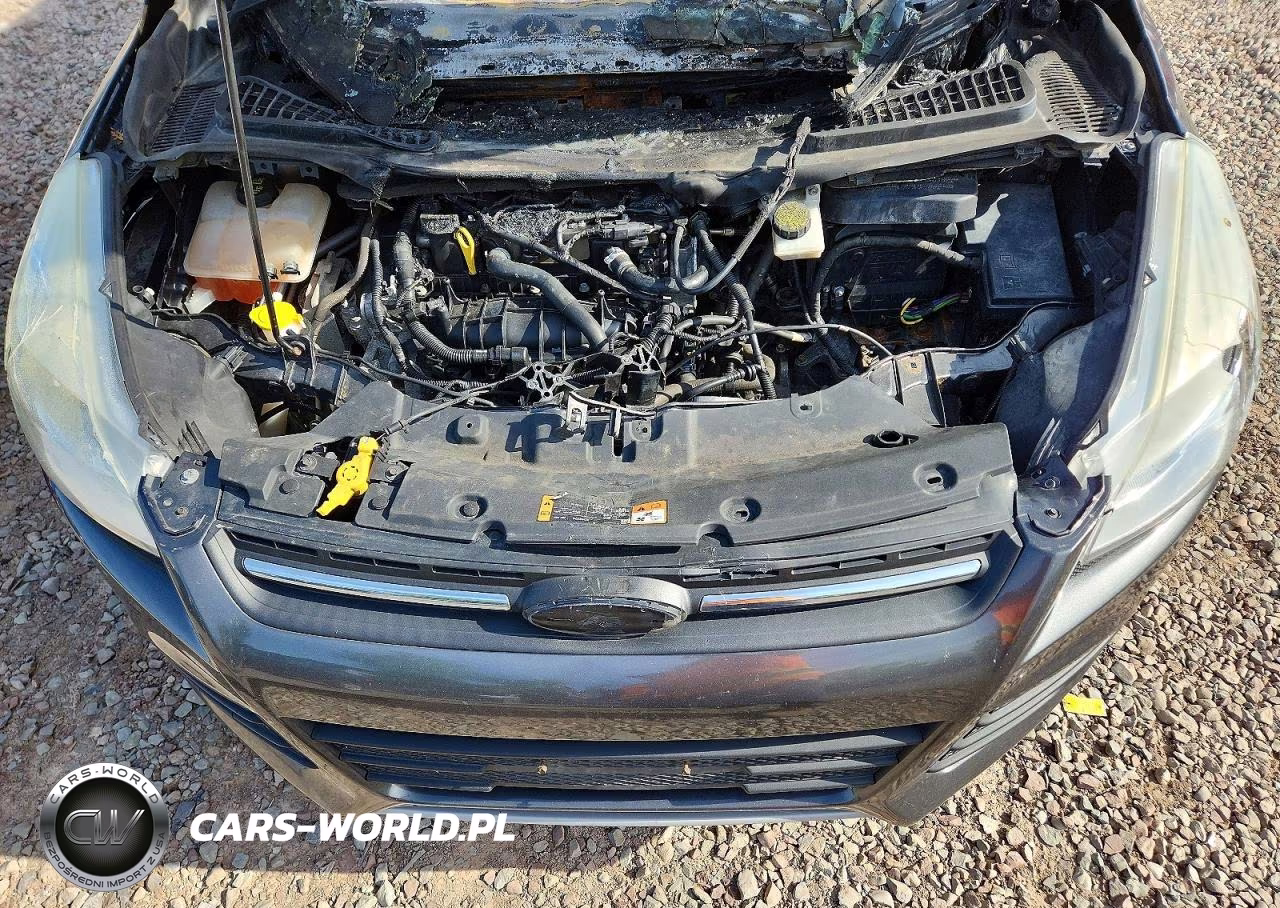 2015 FORD ESCAPE SE VIN:1FMCU0GX4FUA23136 - 12