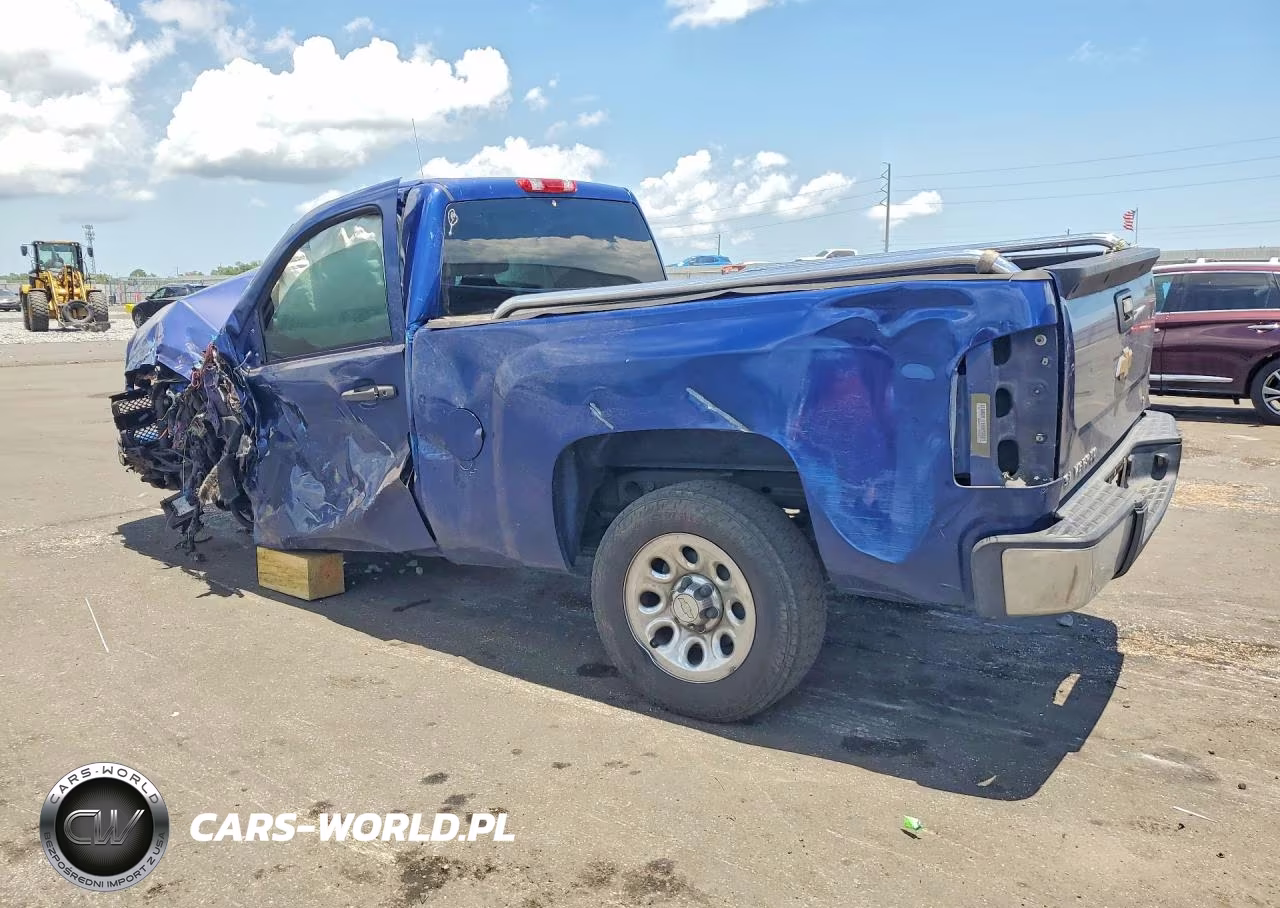 2013 Chevrolet Silverado C1500 VIN:1GCNCPEX6DZ139305 - 2
