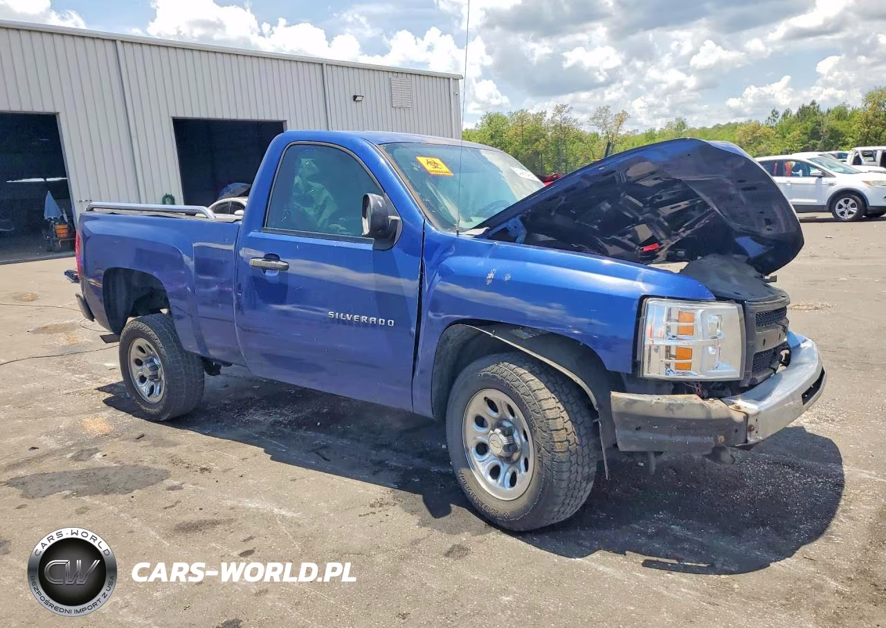 2013 Chevrolet Silverado C1500 VIN:1GCNCPEX6DZ139305 - 4