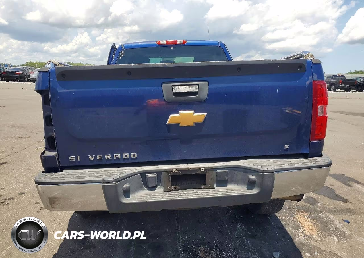 2013 Chevrolet Silverado C1500 VIN:1GCNCPEX6DZ139305 - 6