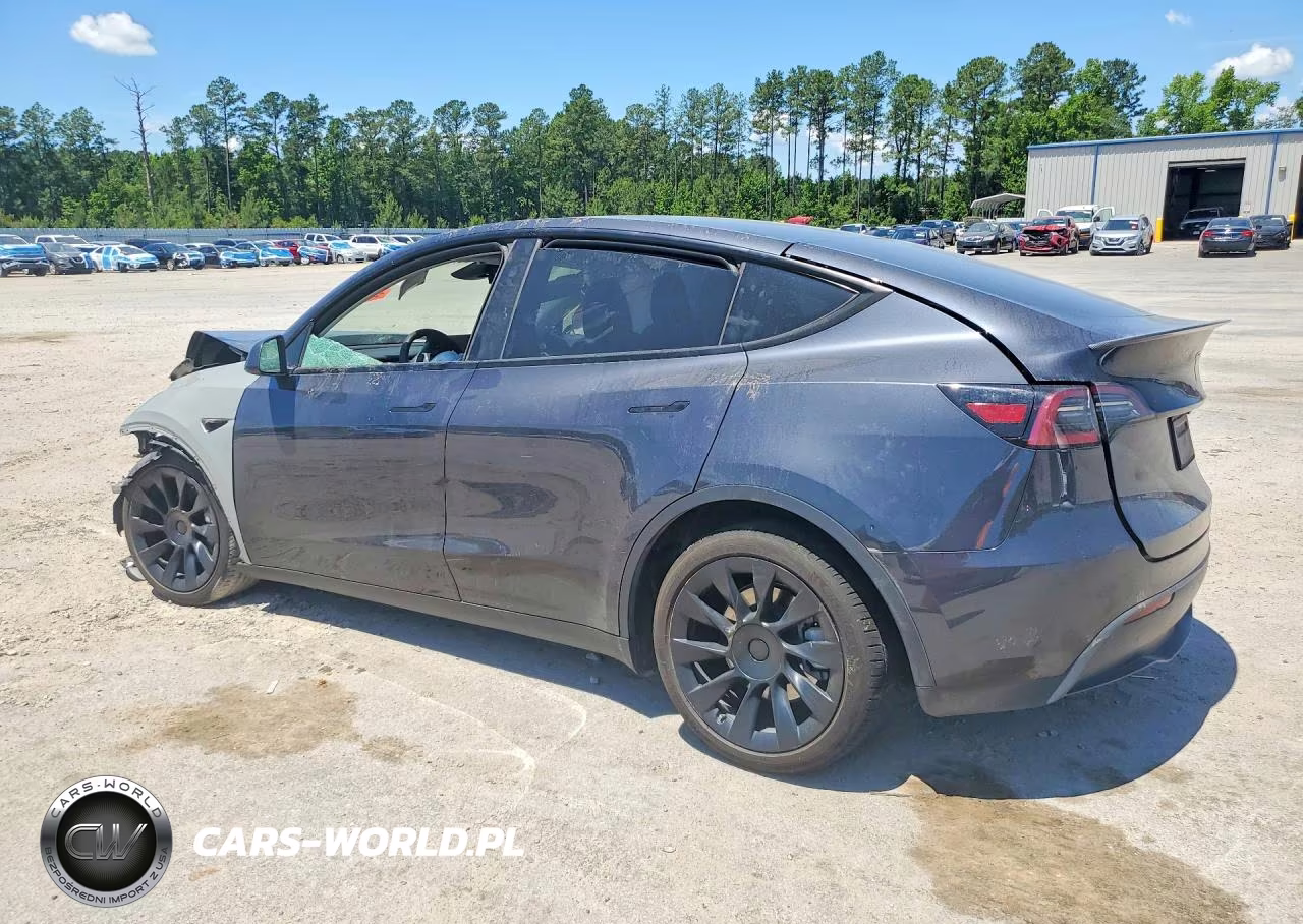 2025 Tesla Model Y VIN:7SAYGDED7SA372568 - 2